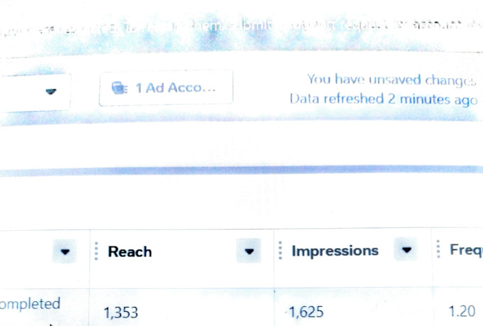 setup and manage facebook ads and insta ads